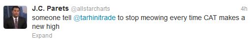 1-17-13 tweet cat