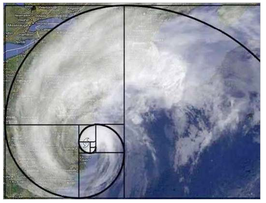 fibonacci storm